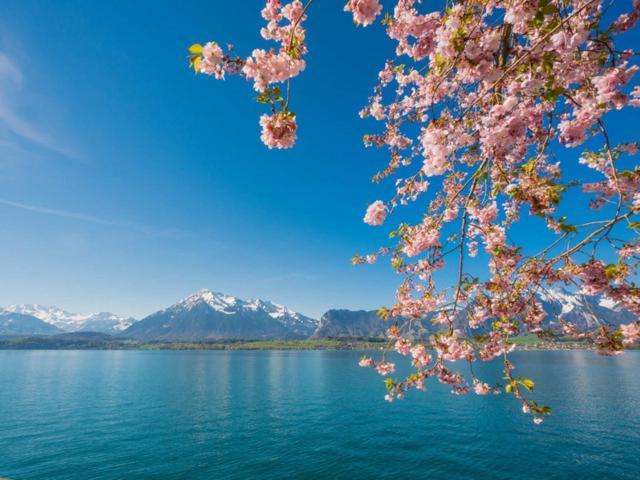 Schoene Ferienwohnung Mit Seeblick Thun Exteriör bild